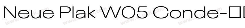 Neue Plak W05 Conde字体转换